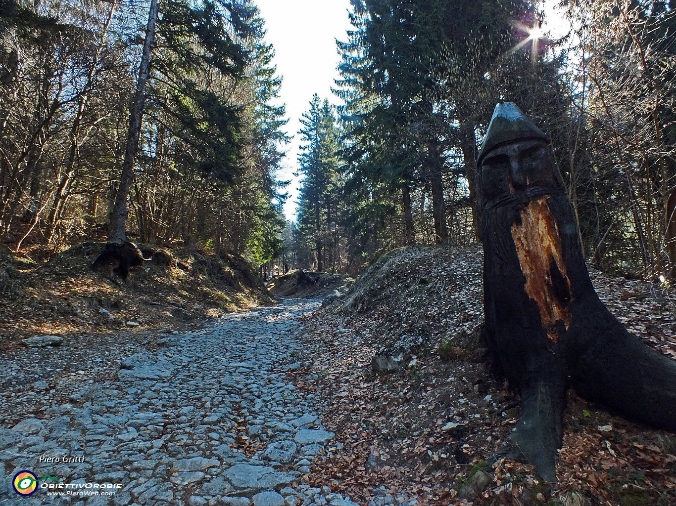 51 Riprendo la salita nel Bosco degli Gnomi....JPG